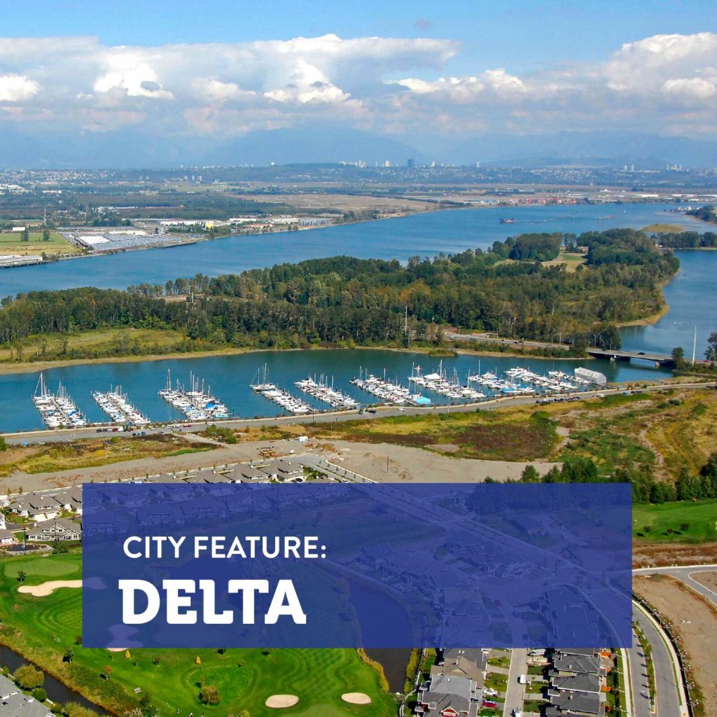 Delta BC moving homes professional movers