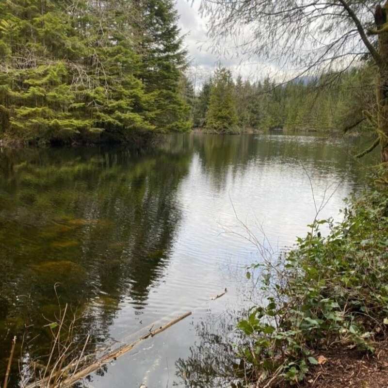 Rice Lake provides a pocket of serenity away from the busy Vancouver life in North Vancouver