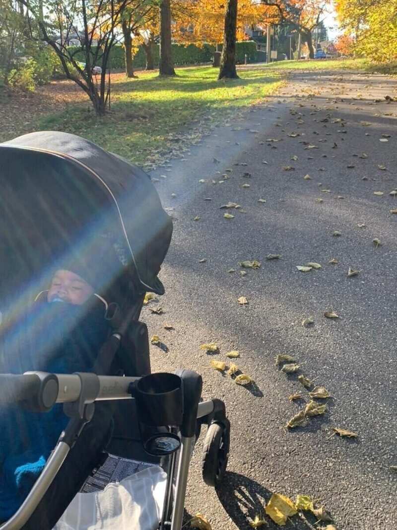 Queen’s Park in New Westminster is the place to go to get your much needed quality time with nature.