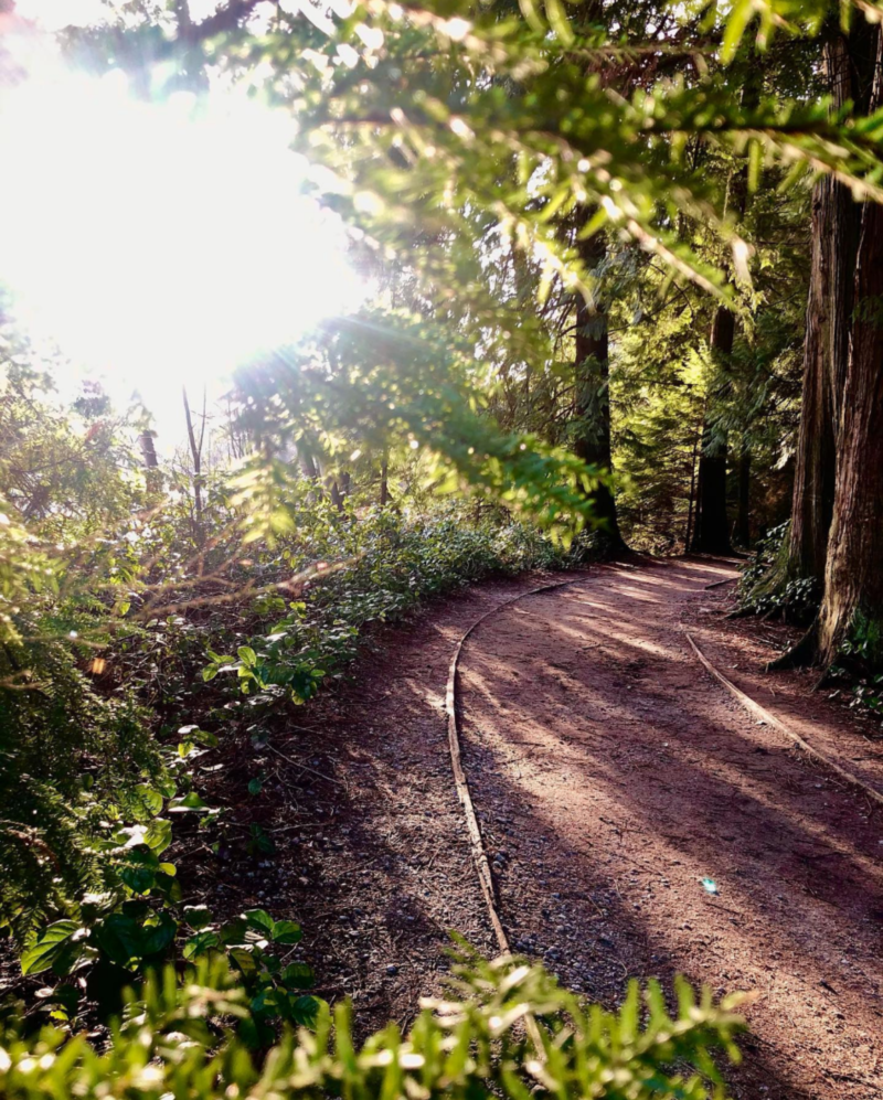 Living in Port Moody could mean you could take walks alongside the greenery. Photo credit: @milmil_05 on Instagram