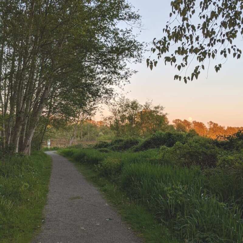 Pictured: Burnaby Lake Regional Park at sunset.